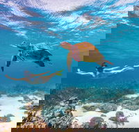 Coral Bay - Broome Tourism