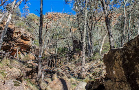 Eualdrie Walking Track - Broome Tourism 0