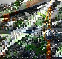 Fancy Plants - Broome Tourism