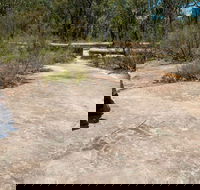 Finchley Cultural Walk - Broome Tourism