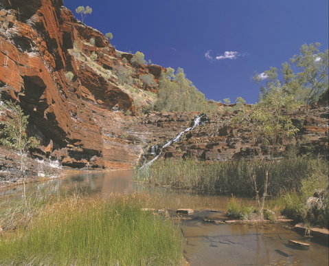 Fortescue Falls - Broome Tourism 1