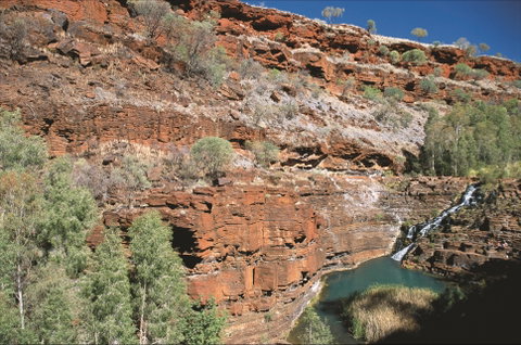 Fortescue Falls - Broome Tourism 2