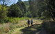 Goolman Lookout Via Rocky Knoll Lookout Trail - thumb 2