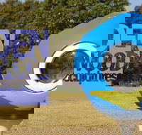 Hidden Rookwood Sculptures - Broome Tourism