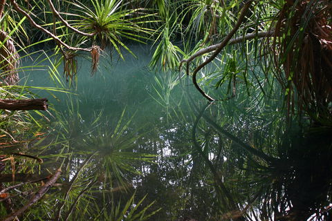 Howard Springs Nature Park - Broome Tourism 2