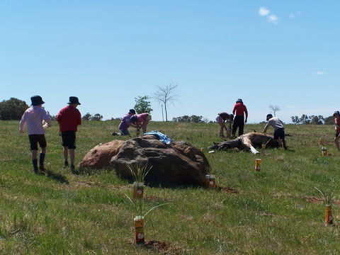 Jim Salmon  Wetland Education Site - Broome Tourism 0