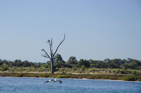 Mandurah Estuary And Peel Inlet - Broome Tourism 1