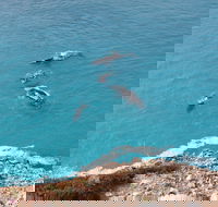Nullarbor National Park - Broome Tourism