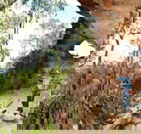 Pilliga Forest - Broome Tourism