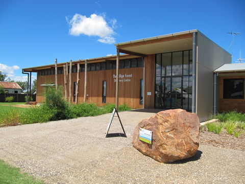 Pilliga Forest - Broome Tourism 2
