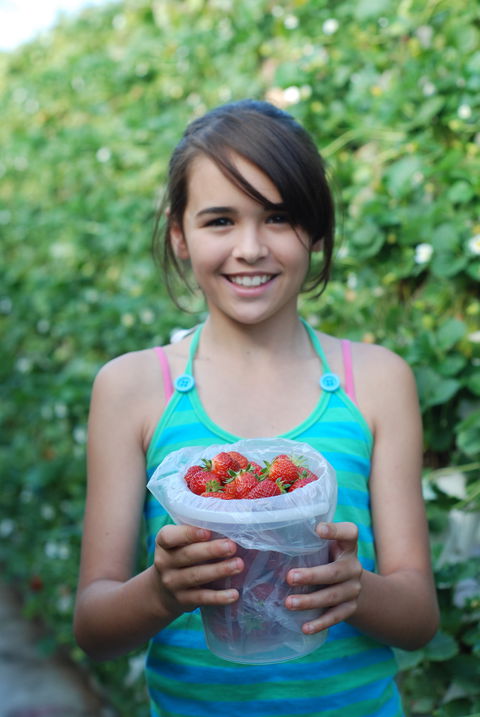 Ricardoes Tomatoes And Strawberries Farm, Port Macquarie - Broome Tourism 0