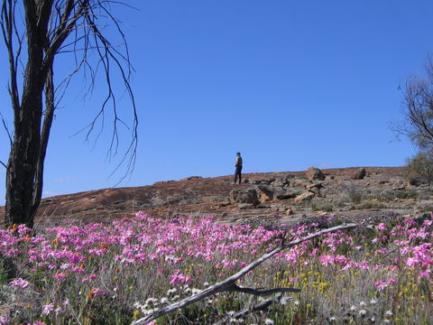 Talgomine Reserve - Broome Tourism 0