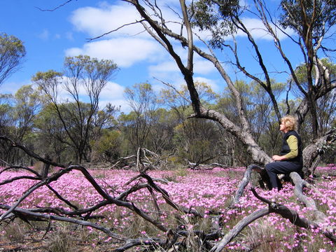 Talgomine Reserve - Broome Tourism 1