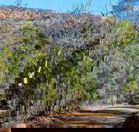 Weddin Gap to Black Spring Loop Trail - Broome Tourism