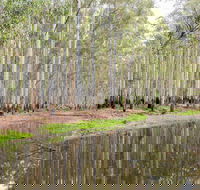 Wonga Wetlands - Broome Tourism