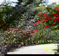 Benalla Botanical Gardens - Broome Tourism