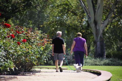 Benalla Botanical Gardens - Broome Tourism 1