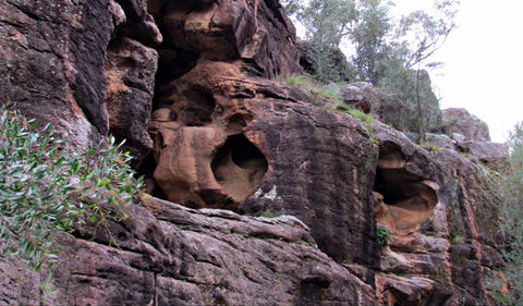 Bertha's Gully Walking Track - Broome Tourism 0