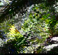 Byrrill Creek Walking Track - Broome Tourism