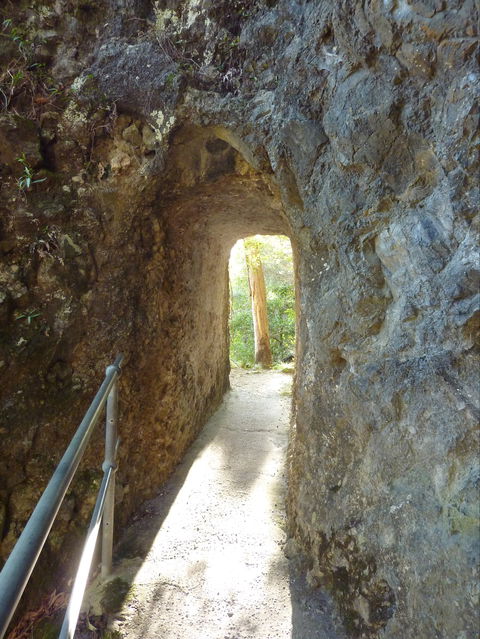 Caves Circuit, Lamington National Park - Broome Tourism 1