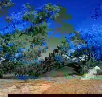 Comet - Broome Tourism