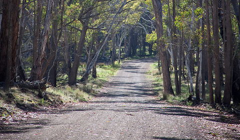 Coolah Tops National Park - Broome Tourism 0