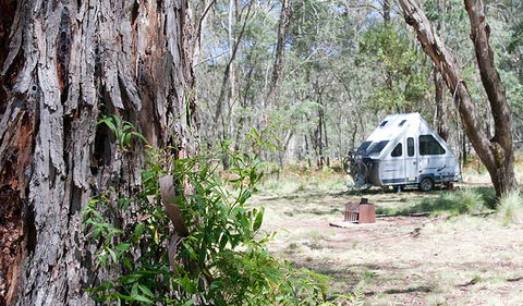 Coolah Tops National Park - Broome Tourism 2