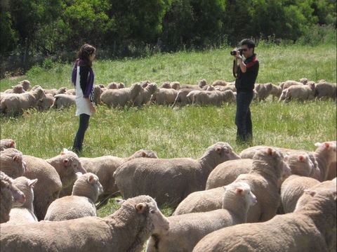 Curringa Farm - Accommodation And Farm Tours - Broome Tourism 1