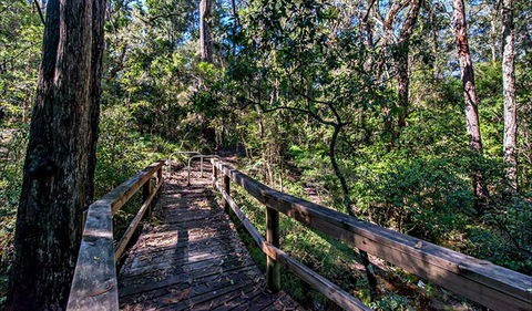 Dawson River Walking Track - Broome Tourism 0