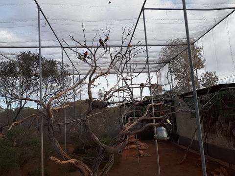 Eyre Reptile & Wildlife Park - Broome Tourism 2