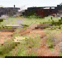 Ghans Bore No7 Govt Bore - Broome Tourism