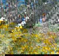 Gidgegannup - Broome Tourism