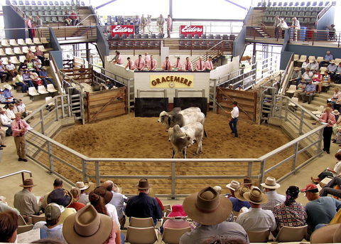 Gracemere Exhibition Complex - Broome Tourism 1