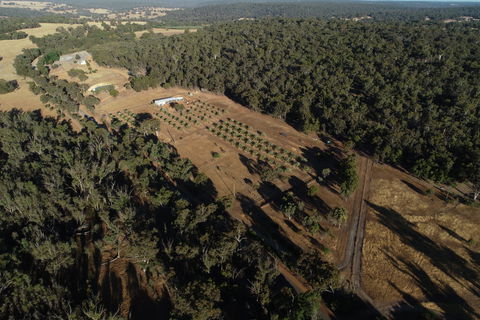 Julimar Date Garden - Broome Tourism 0