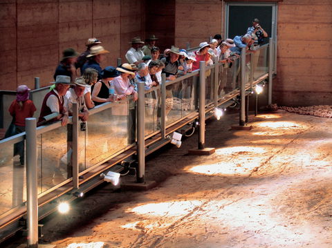 Lark Quarry Conservation Park - Broome Tourism 0