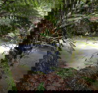 Marriotts Falls and Junee Caves - Broome Tourism