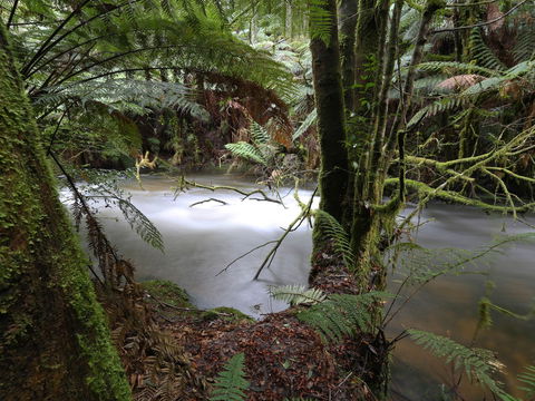 Marriotts Falls And Junee Caves - Broome Tourism 0