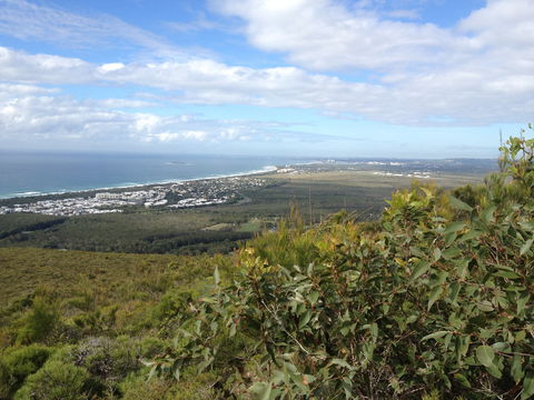 Mount Coolum National Park - Broome Tourism 0