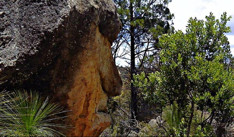 Mystery Face Walking Track - Broome Tourism 0