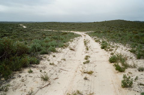 Ngarkat Conservation Park - Broome Tourism 0