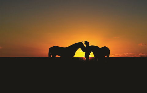 Outback Pony Rides Farm Experience - Broome Tourism 0