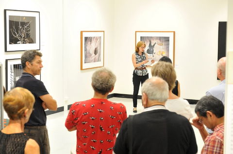 Pine Rivers Art Gallery - Broome Tourism 1