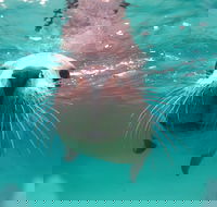Seal Cove - Broome Tourism
