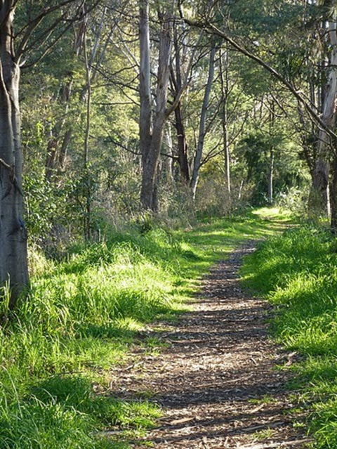 Stoodley Forest Walk And Arboretum - Broome Tourism 0