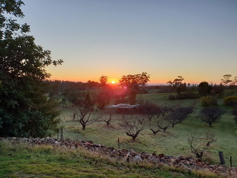 Taralee Orchards - Broome Tourism 1