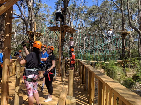 Trees Adventure - Yanchep Park - Broome Tourism 0