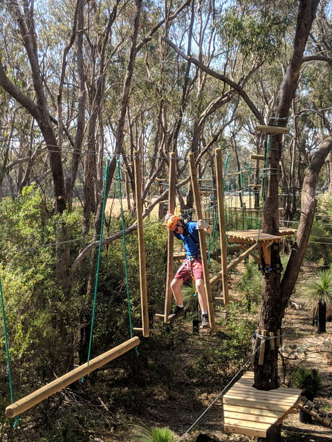 Trees Adventure - Yanchep Park - Broome Tourism 1