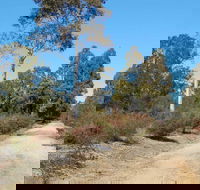 Werakata National Park - Broome Tourism