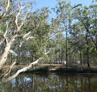 Wongi State Forest - Broome Tourism