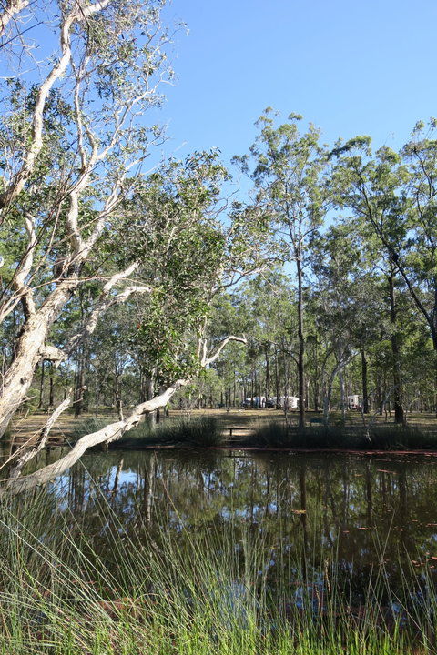 Wongi State Forest - Broome Tourism 0